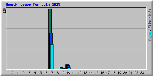 Hourly usage for July 2025