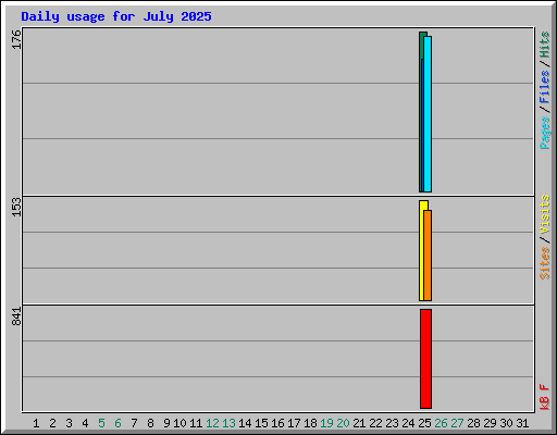 Daily usage for July 2025