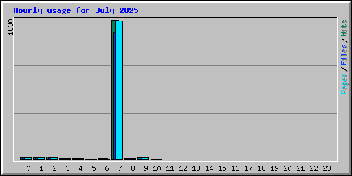Hourly usage for July 2025